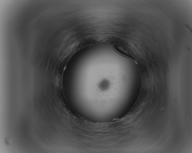 X0000091940044200709191428