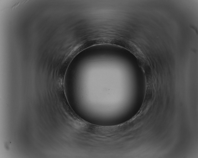 X0000091940045200709191428