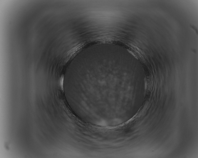 X0000091940047200709191428