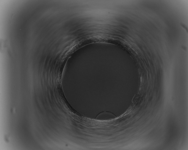 X0000091940048200709191428