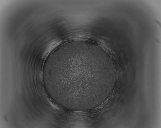 X0000091940050200709191428