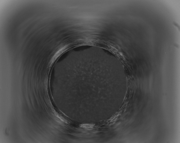 X0000091940051200709191428