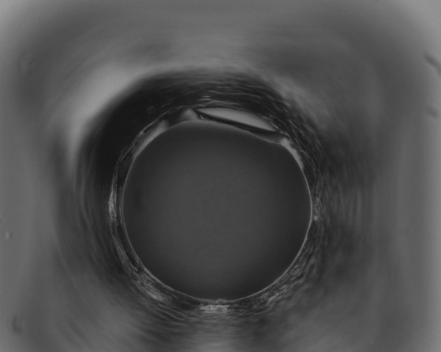 X0000091940052200709191428