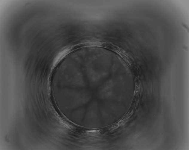 X0000091940053200709191428