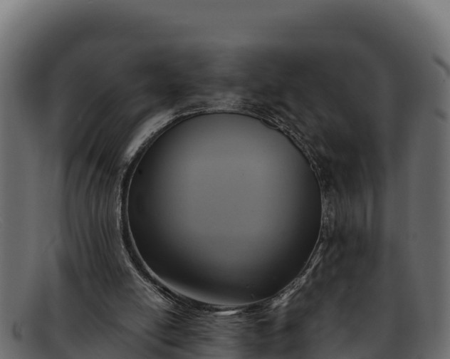 X0000091940054200709191428