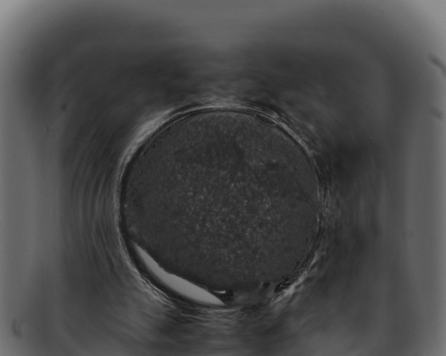 X0000091940055200709191428