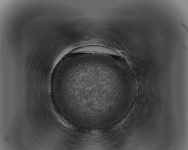 X0000091940056200709191428