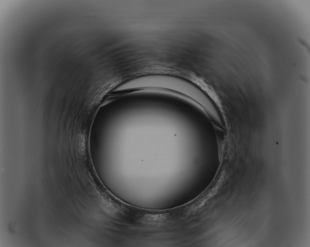 X0000091940057200709191428