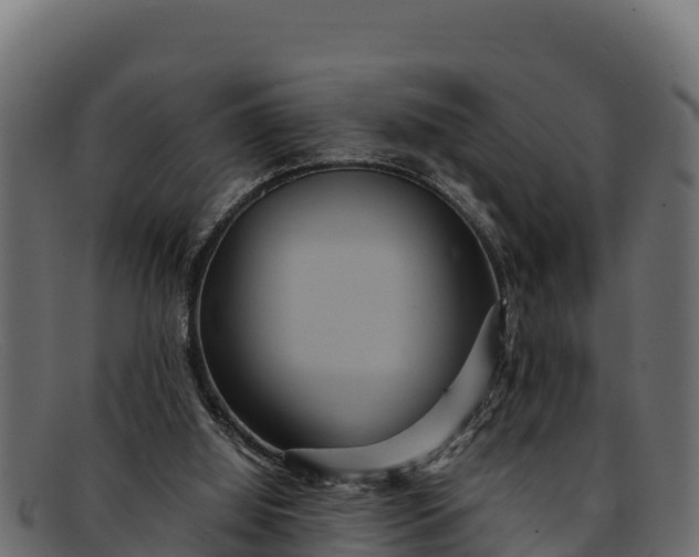 X0000091940060200709191428