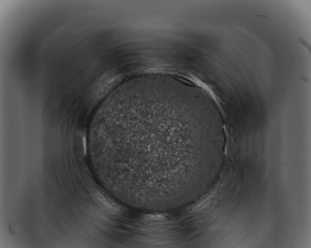 X0000091940061200709191428