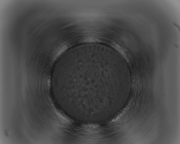 X0000091940063200709191428