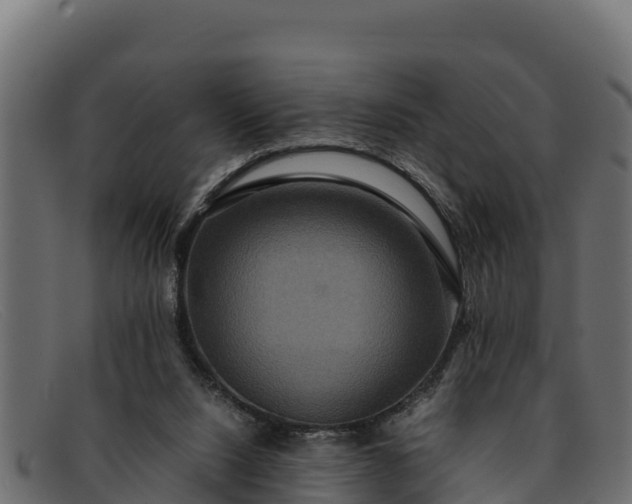 X0000091940064200709191428