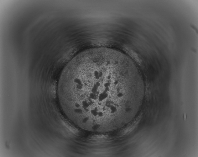 X0000091940065200709191428