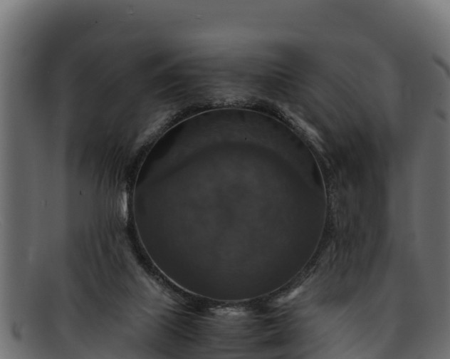 X0000091940067200709191428