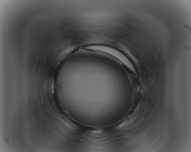 X0000091940068200709191428