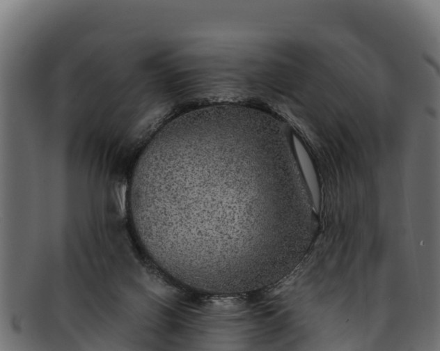 X0000091940070200709191428