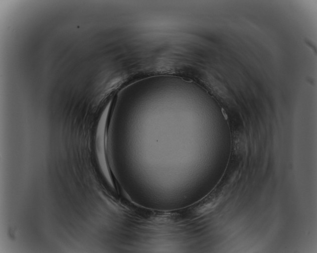 X0000091940072200709191428