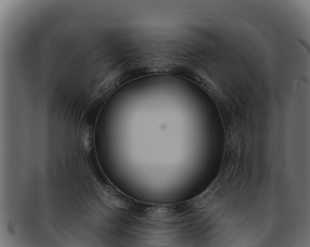 X0000091940074200709191428