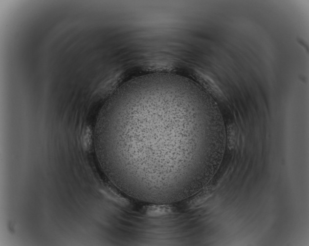 X0000091940077200709191428