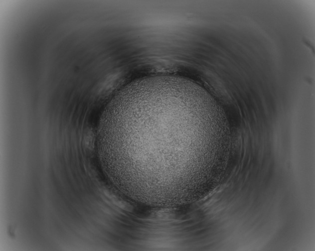 X0000091940078200709191428