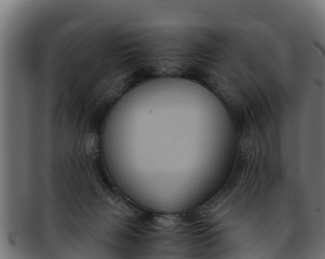 X0000091940079200709191428