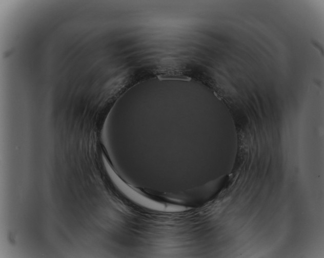 X0000091940080200709191428