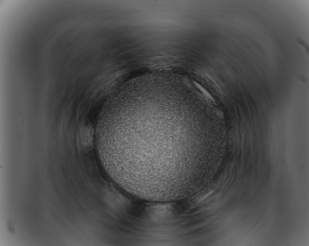 X0000091940081200709191428