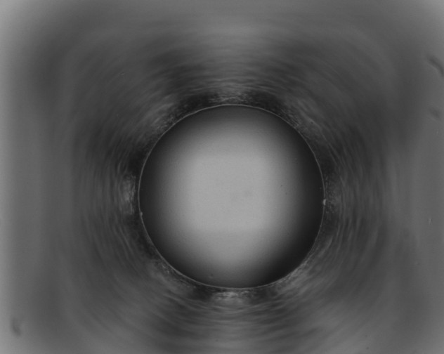 X0000091940082200709191428