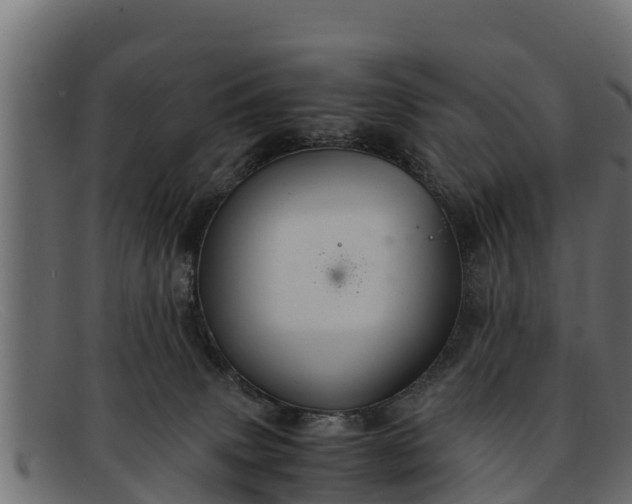 X0000091940083200709191428