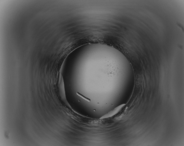 X0000091940084200709191428