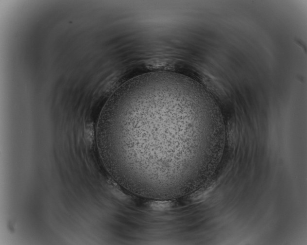 X0000091940085200709191428