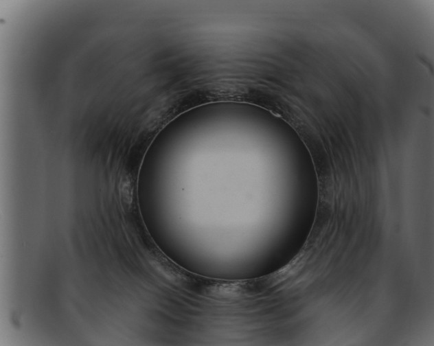 X0000091940086200709191428