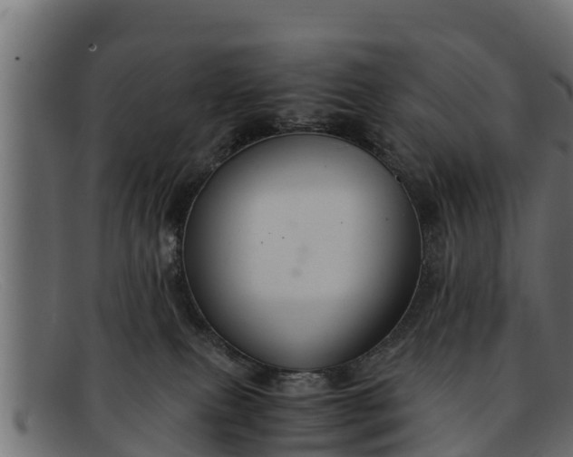 X0000091940087200709191428