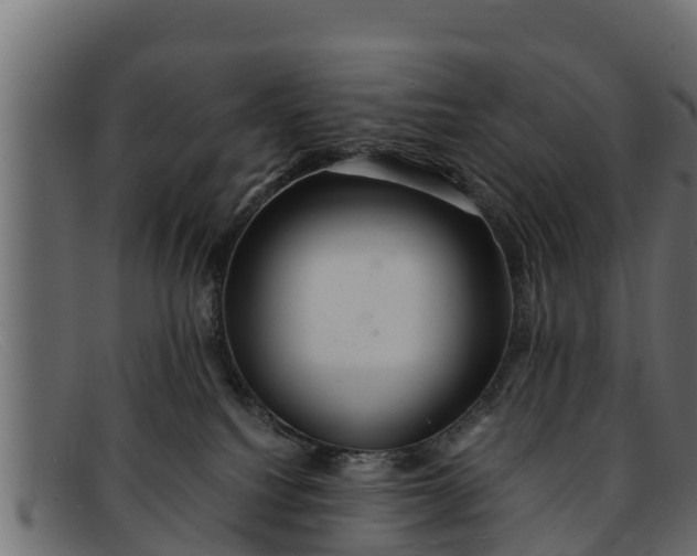 X0000091940088200709191428