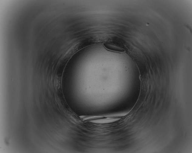 X0000091940091200709191428