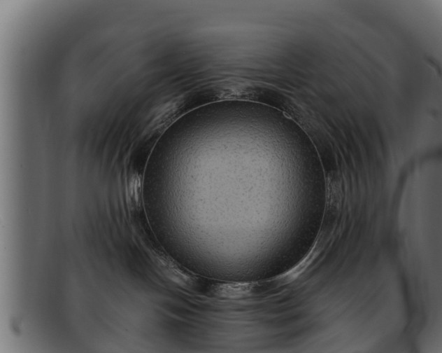 X0000091940094200709191428