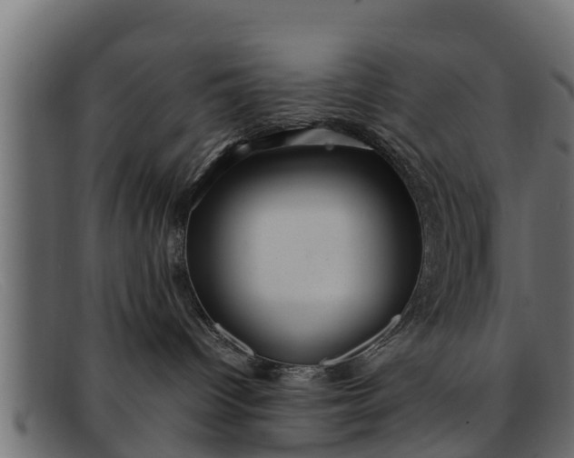 X0000091940096200709191428