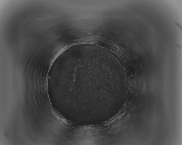 X0000091940100200709191427