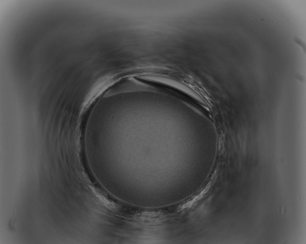 X0000091940101200709191427