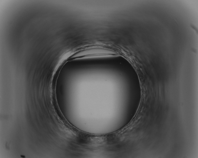 X0000091940102200709191427