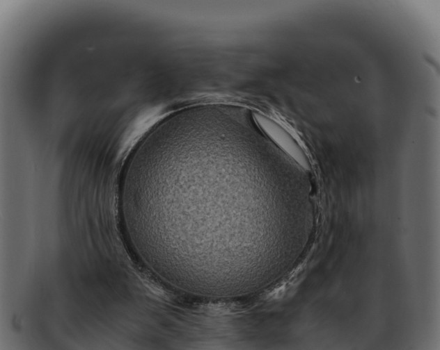 X0000091940103200709191427