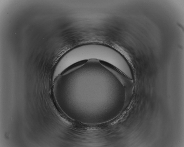 X0000091940105200709191427