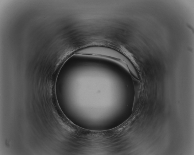 X0000091940106200709191427