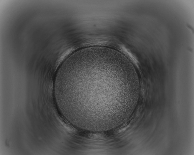 X0000091940107200709191427