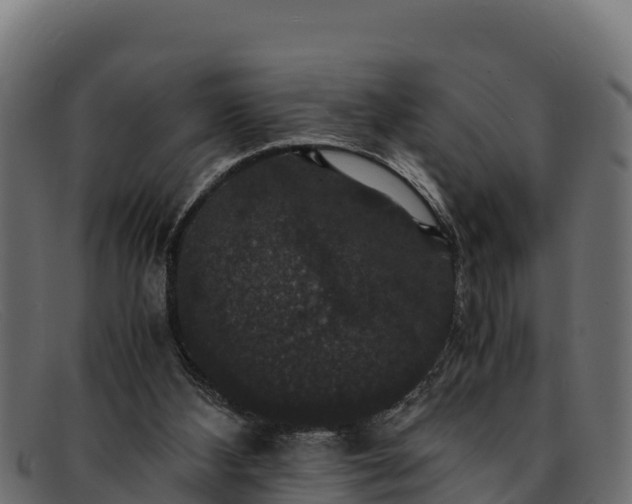 X0000091940108200709191427