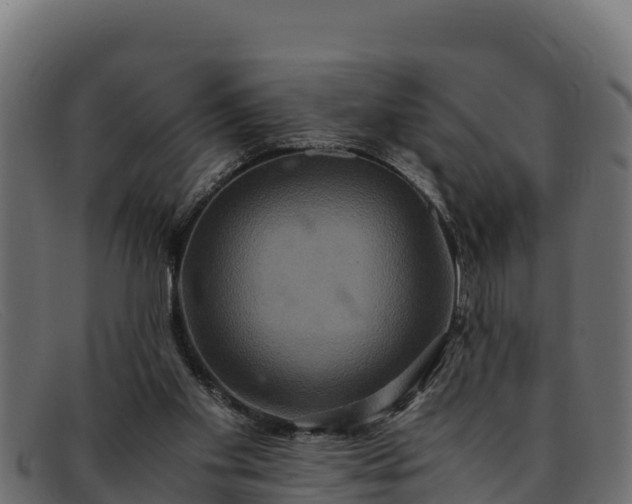 X0000091940109200709191427