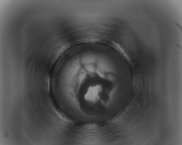 X0000091940110200709191427