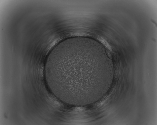 X0000091940111200709191427