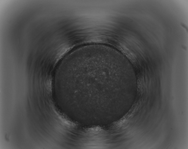 X0000091940112200709191427