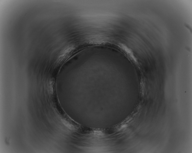 X0000091940114200709191427